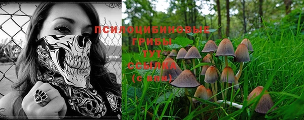 ECSTASY Алексин