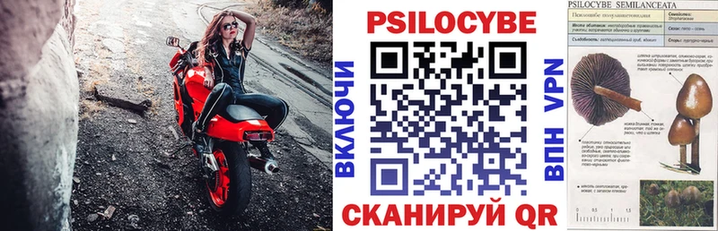 Галлюциногенные грибы мицелий  мега ссылка  Жигулёвск  хочу наркоту 